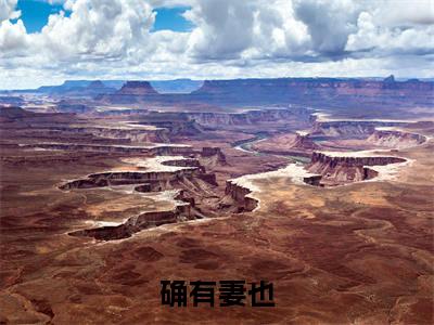 确有妻也小说最新试读_封确容也是（确有妻也免费阅读最新章节列表）_笔趣阁（封确容也）