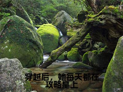 叶蓁李元璟(穿越后,她每天都在攻略皇上)全文免费叶蓁李元璟读无弹窗大结局_叶蓁李元璟免费穿越后,她每天都在攻略皇上读最新章节列表_笔趣阁