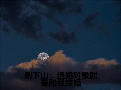 《张枫》全文免费阅读无弹窗大结局-刚下山:退婚对象就要和我结婚无弹窗阅读