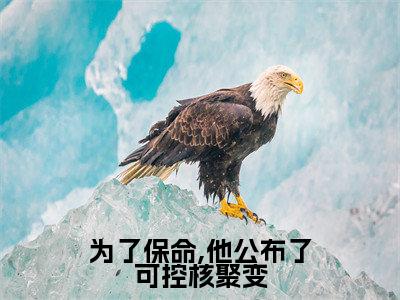 为了保命,他公布了可控核聚变小说(叶城高卫明)全文免费阅读_(叶城高卫明)为了保命,他公布了可控核聚变小说最新章节列表