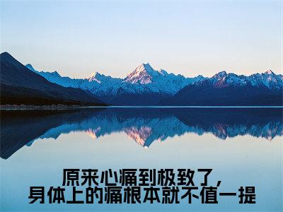 【新书】《原来心痛到极致了,身体上的痛根本就不值一提》全文免费阅读最新章节大结局-颜萝全文全章节免费阅读