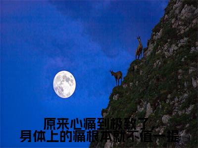 颜萝小说(原来心痛到极致了,身体上的痛根本就不值一提)全文免费阅读无弹窗大结局_原来心痛到极致了,身体上的痛根本就不值一提最新章节列表_笔趣阁(颜萝)