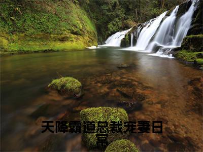 小说(天降霸道总裁宠妻日常)_林心晴唐亦尘全文阅读_小说天降霸道总裁宠妻日常免费阅读(林心晴唐亦尘)笔趣阁
