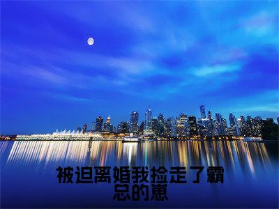 被迫离婚我捡走了霸总的崽在线阅读(乔依顾策)全文免费阅读无弹窗大结局_(被迫离婚我捡走了霸总的崽全文免费阅读)最新章节列表