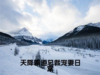 天降霸道总裁宠妻日常全文免费阅读大结局_天降霸道总裁宠妻日常最新章节列表_笔趣阁(林心晴唐亦尘)