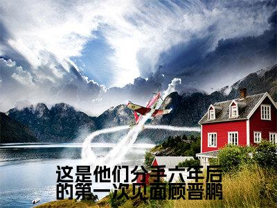 盛海月顾晋鹏(这是他们分手六年后的第一次见面顾晋鹏最新全章节大结局)全文阅读