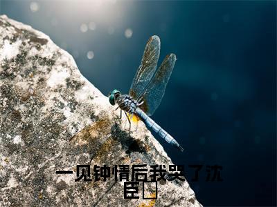 一见钟情后我哭了沈臣玦(沈臣玦)全文免费读无弹窗大结局_(沈臣玦免费小说)一见钟情后我哭了沈臣玦无弹窗最新章节列表