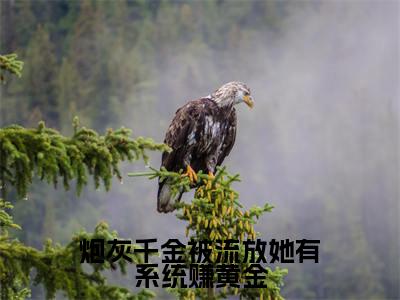 秦中月萧景羿（炮灰千金被流放她有系统赚黄金）全文免费阅读无弹窗大结局_炮灰千金被流放她有系统赚黄金全文在线阅读