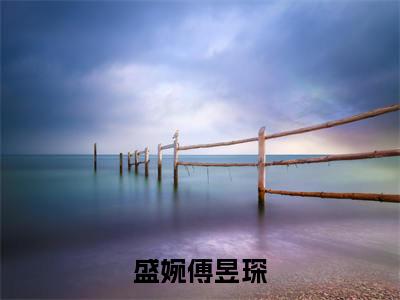 盛婉傅昱琛(大结局小说全集完整版)盛婉傅昱琛小说_盛婉傅昱琛全文阅读笔趣阁