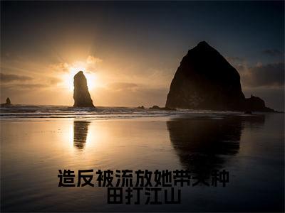免费+后续造反被流放她带夫种田打江山（江棠棠陆时晏）快手热推小说主角造反被流放她带夫种田打江山完整版在线阅读