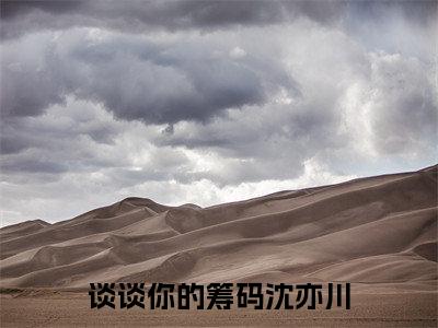 谈谈你的筹码沈亦川阅读无弹窗大结局_唐染沈亦川穿越小说免费阅读_笔趣阁