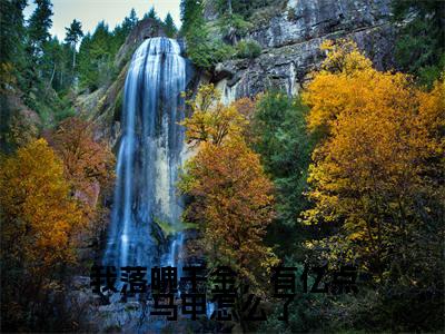 我落魄千金，有亿点马甲怎么了（苏青川鹿鸣）全文免费阅读无弹窗_（苏青川鹿鸣）小说最新章节列表笔趣阁