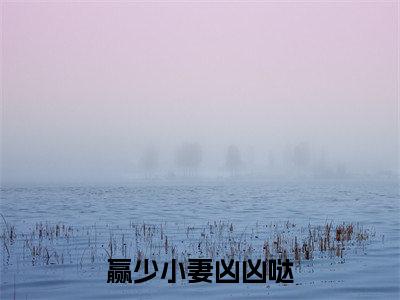 李怀林李衣衣（赢少小妻凶凶哒）完整版小说阅读_赢少小妻凶凶哒李怀林李衣衣全文免费阅读