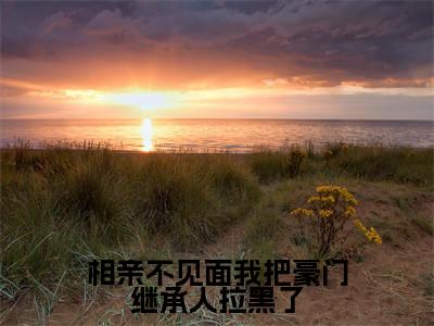 从容霍霆琛全文免费阅读无弹窗(相亲不见面我把豪门继承人拉黑了)小说-从容霍霆琛小说免费阅读