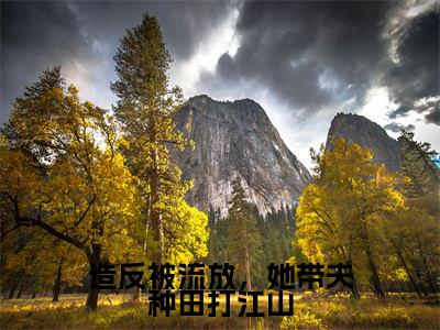 小说造反被流放,她带夫种田打江山无弹窗免费阅读-新上热文小说(江棠棠陆时晏)讲的是什么