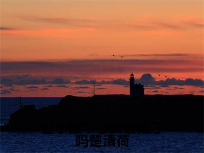 世子殿下今天破戒了吗楚清荷在线阅读(沈京墨楚清荷)全文免费阅读无弹窗大结局_(世子殿下今天破戒了吗楚清荷全文免费阅读)最新章节列表
