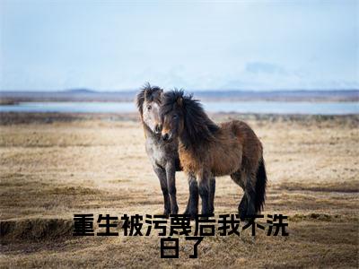 重生被污蔑后我不洗白了(萧尘叶凡)小说全文免费读无弹窗大结局_重生被污蔑后我不洗白了小说全文免费阅读