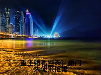 重生婚礼当天，豪门大佬来抢婚（林亦风）全文免费阅读无弹窗大结局_林亦风最新章节列表_笔趣阁（重生婚礼当天，豪门大佬来抢婚）