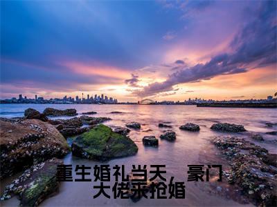 林亦风（重生婚礼当天，豪门大佬来抢婚）全文免费阅读无弹窗大结局_林亦风免费阅读无弹窗最新章节列表_笔趣阁