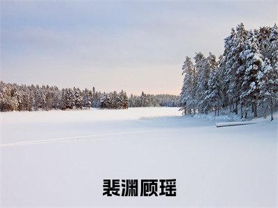 裴渊顾瑶(顾瑶裴渊)全文免费阅读无弹窗大结局_(裴渊顾瑶)最新章节列表