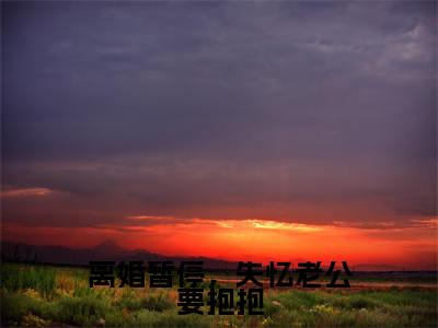 离婚暂停,失忆老公要抱抱季时彦苏妗小说-离婚暂停,失忆老公要抱抱小说免费阅读