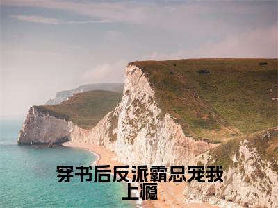 小说(穿书后反派霸总宠我上瘾)全文免费阅读_(苏暖兮陆时深)小说全文免费阅读
