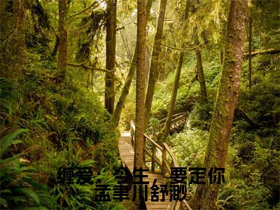 孟聿川舒渺是什么小说-(缠爱:今生,要定你孟聿川舒渺全文阅读)最新章节列表