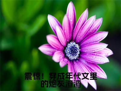 震惊!穿成年代文里的炮灰渣渣(宋今宜沈暨白)全文免费阅读无弹窗大结局_宋今宜沈暨白最新章节列表