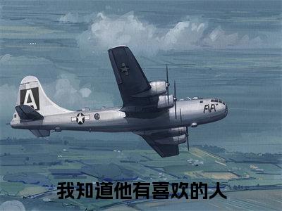 我知道他有喜欢的人免费阅读无弹窗,小说姜幼鱼靳京北大结局全文免费阅读