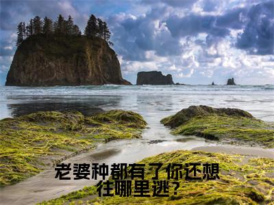 老婆种都有了你还想往哪里逃?在线阅读(林思念封御)全文免费阅读无弹窗大结局_(老婆种都有了你还想往哪里逃?全文免费阅读)最新章节列表