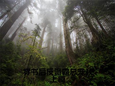 （免费）+（结局）穿书后反派霸总宠我上瘾美文欣赏完整版，苏暖兮陆时深精彩章节在线阅读