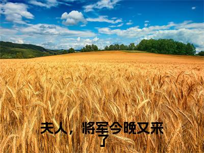 热门小说漫芷墨潇宸全文免费阅读无弹窗大结局-夫人,将军今晚又来了全文无弹窗免费阅读大结局