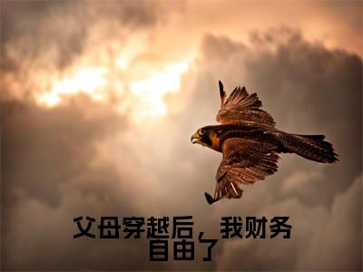 父母穿越后，我财务自由了小说限时免费，李向安完结版小说阅读无弹窗_笔趣阁