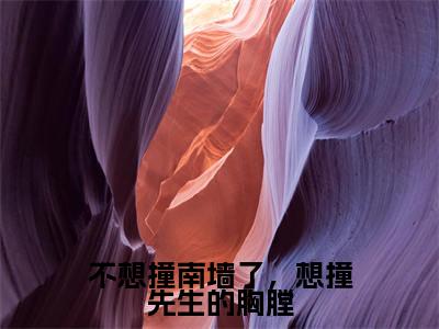 小说不想撞南墙了,想撞先生的胸膛免费在线阅读-小说主角叫楚泊辰叶晚妍的小说完整版免费读全文