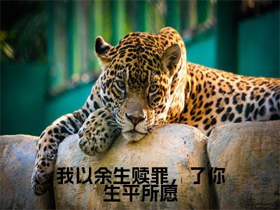 我以余生赎罪,了你生平所愿免费阅读(陆庭屿唐念)完整版全文全章节阅读(陆庭屿唐念免费+番外)
