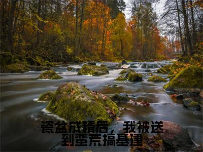 (夏柠免费+后续)瓷盆成精后,我被送到蛮荒搞基建(夏柠)最新章节阅读-热点小说榜单推荐瓷盆成精后,我被送到蛮荒搞基建