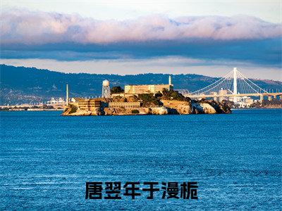 (热推新书)《唐翌年于漫栀》全文免费阅读无弹窗大结局_于漫栀唐翌年无弹窗全文阅读