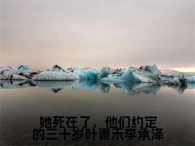 小说她死在了,他们约定的三十岁叶青禾李承泽在线阅读-正版小说《叶青禾李承泽》她死在了,他们约定的三十岁叶青禾李承泽全文阅读