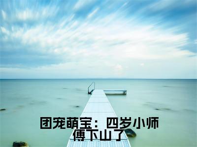 团宠萌宝:四岁小师傅下山了(安景轩夏雨沫)全文免费阅读无弹窗大结局_安景轩夏雨沫最新章节列表_笔趣阁