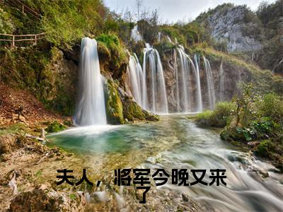 夫人,将军今晚又来了(漫芷墨潇宸)全文免费阅读无弹窗大结局_夫人,将军今晚又来了最新章节列表-笔趣阁漫芷墨潇宸