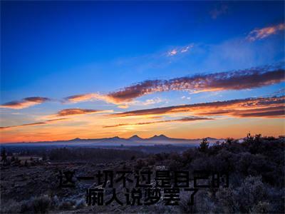 这一切不过是自己的痴人说梦罢了全文免费阅读无弹窗大结局_(这一切不过是自己的痴人说梦罢了)褚司琰姜倪倪最新章节列表_笔趣阁