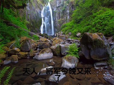 夫人,将军今晚又来了李漫芷墨潇宸全文小说-夫人,将军今晚又来了小说最新章节免费阅读