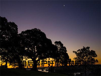 温岁晚楚时川（婚后保护好挚爱楚时川）全文免费阅读无弹窗大结局_婚后保护好挚爱楚时川全文免费阅读_笔趣阁