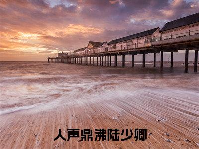 人声鼎沸陆少卿沈眠陆少卿全文免费阅读_人声鼎沸陆少卿无弹窗最新章节