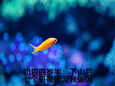 粥粥小说奶包四岁半:下山后七个哥哥团宠我粥粥全文免费阅读无弹窗-正版小说粥粥全文阅读(后续+免费)
