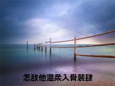 沈娇裴肆(怎敌他温柔入骨裴肆)全集免费阅读无弹窗_(怎敌他温柔入骨裴肆小说免费阅读)_笔趣阁