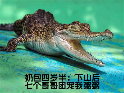 奶包四岁半：下山后七个哥哥团宠我粥粥全文免费阅读无弹窗大结局-粥粥无弹窗阅读