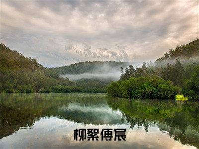 傅宸柳絮全文免费阅读_(柳絮傅宸免费阅读无弹窗)傅宸柳絮最新章节列表笔趣阁