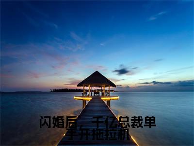 闪婚后,千亿总裁单手开拖拉机(顾君撷红豆全文免费大结局)在线阅读-顾君撷红豆全文无删减免费赏析