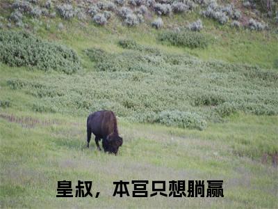 皇叔,本宫只想躺赢:顾揽月萧九全文免费阅读无弹窗大结局_皇叔,本宫只想躺赢:顾揽月萧九免费阅读